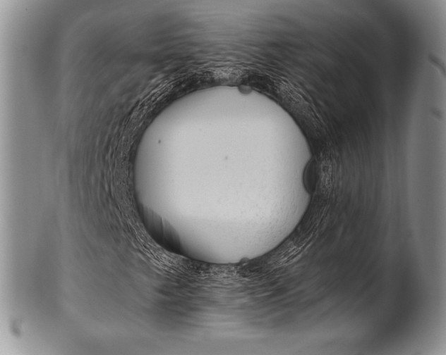 X0000100411249200806201751