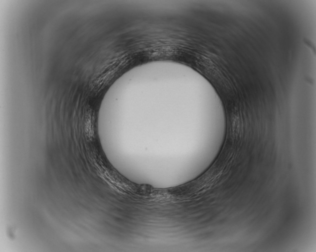 X0000100411250200806201751