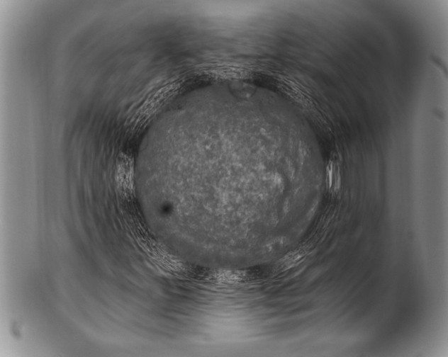 X0000100411251200806201751