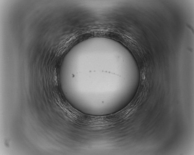 X0000100411252200806201751