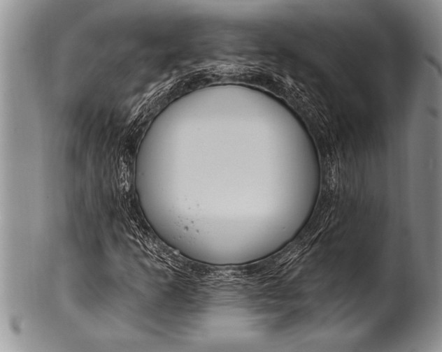 X0000100411253200806201751