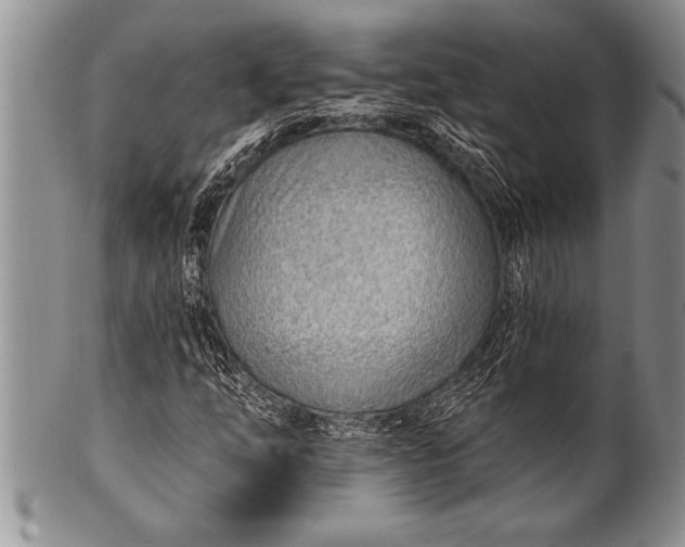 X0000100411254200806201751