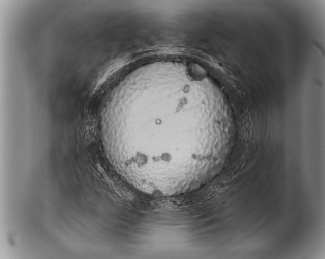 X0000100411255200806201751