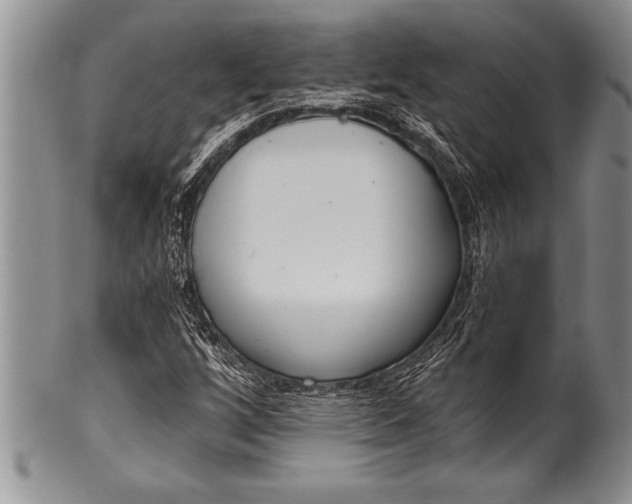 X0000100411256200806201751