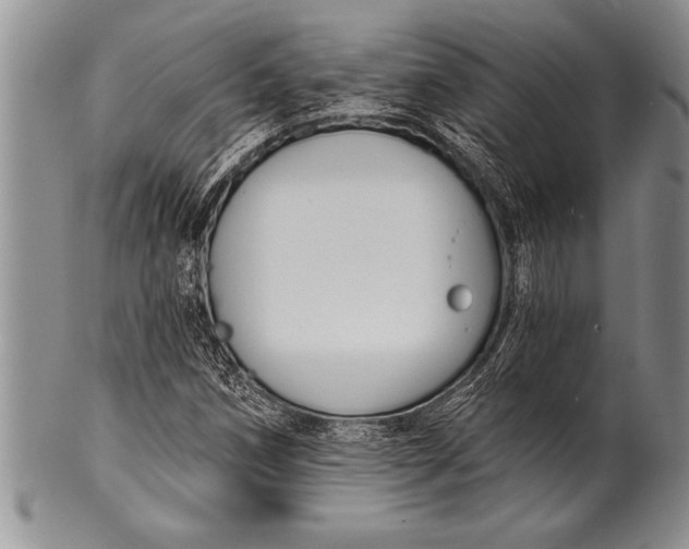 X0000100411258200806201751