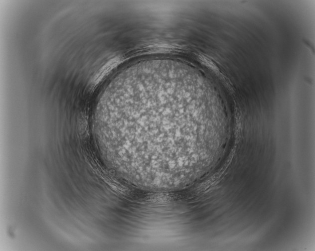 X0000100411259200806201751