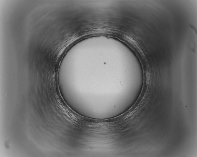 X0000100411260200806201751