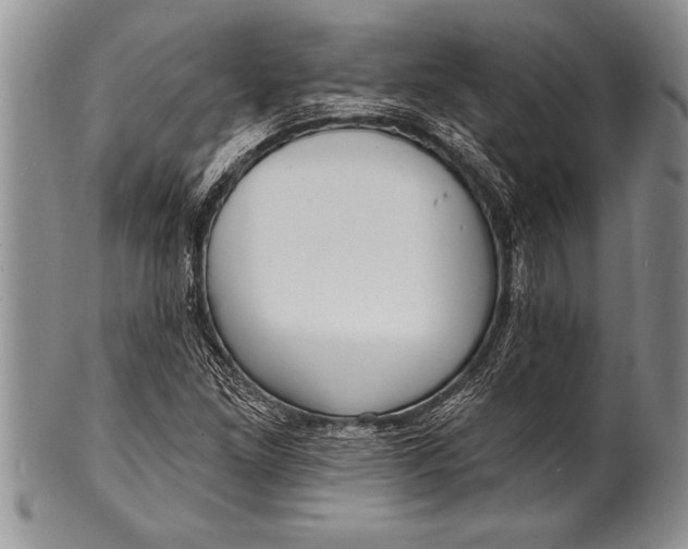 X0000100411261200806201751