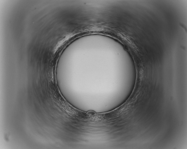 X0000100411262200806201751