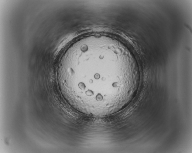 X0000100411263200806201751