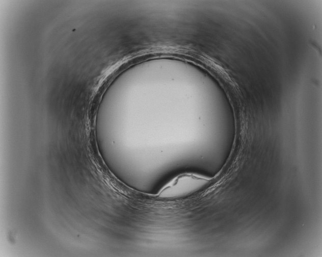 X0000100411264200806201751