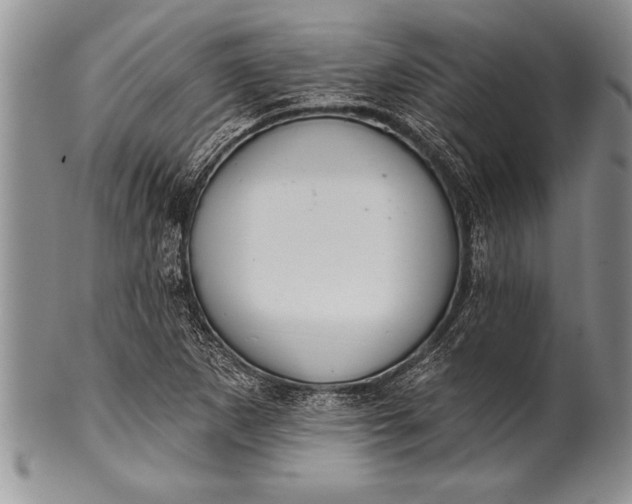 X0000100411265200806201751