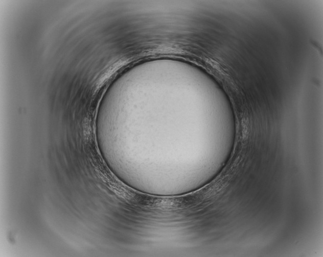 X0000100411266200806201751