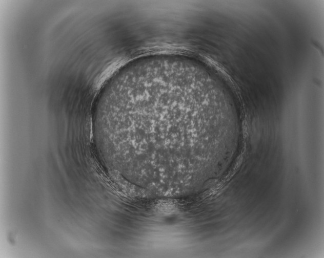 X0000100411267200806201751