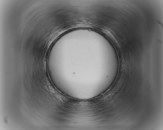 X0000100411268200806201751