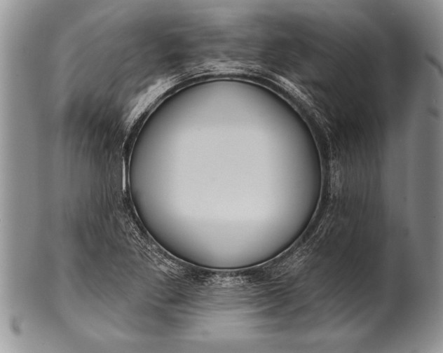 X0000100411269200806201751