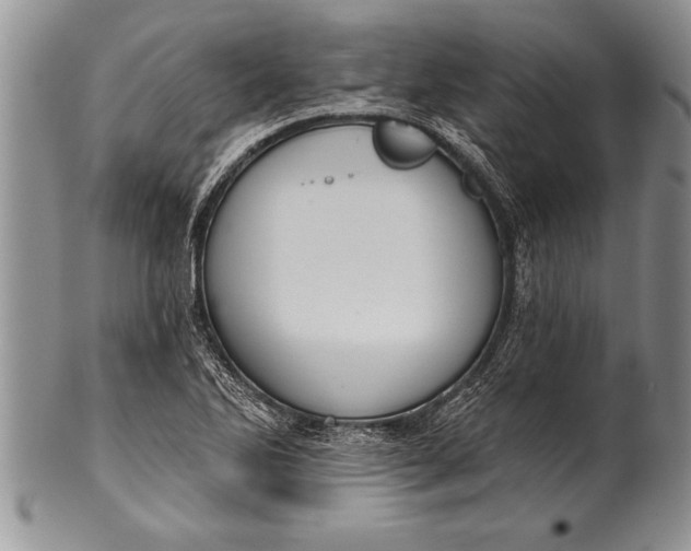 X0000100411270200806201751