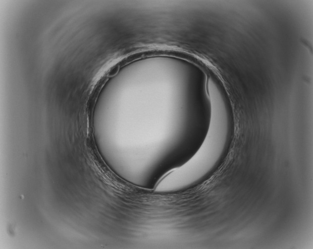 X0000100411271200806201751