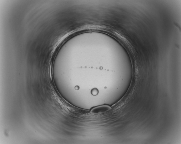 X0000100411272200806201751