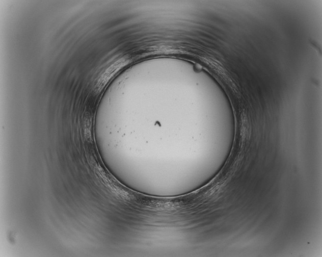 X0000100411273200806201751