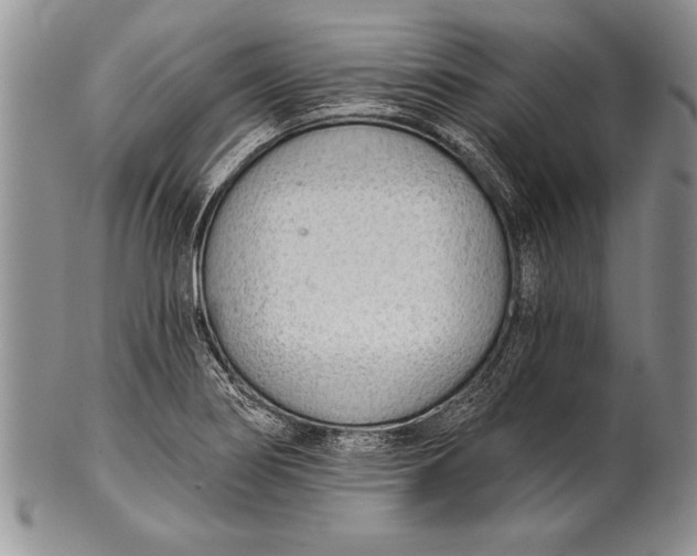 X0000100411274200806201751