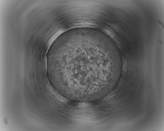 X0000100411275200806201751