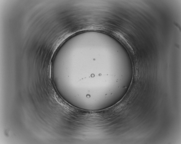 X0000100411276200806201751