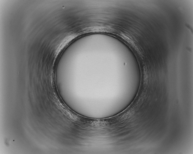 X0000100411277200806201751