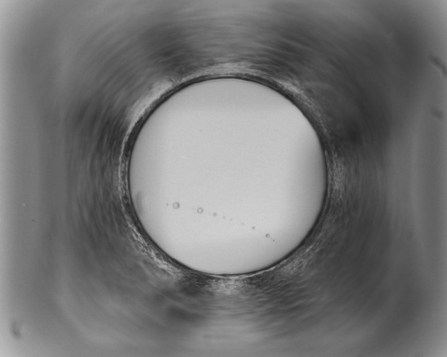 X0000100411278200806201751