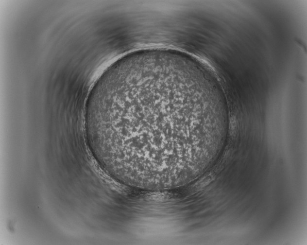 X0000100411279200806201751