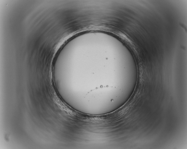 X0000100411280200806201751