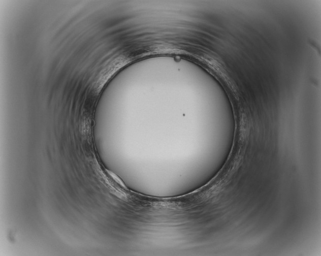 X0000100411281200806201751