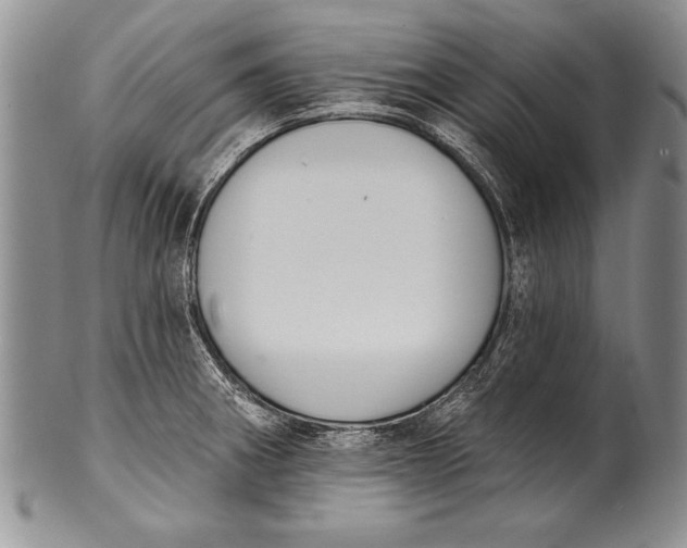 X0000100411282200806201751