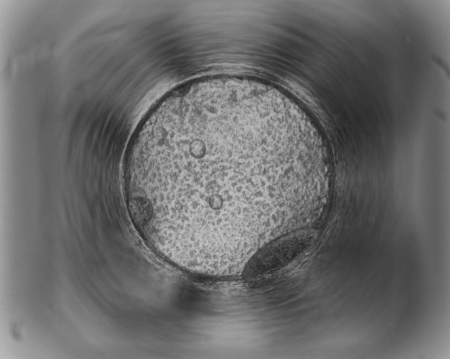 X0000100411283200806201751