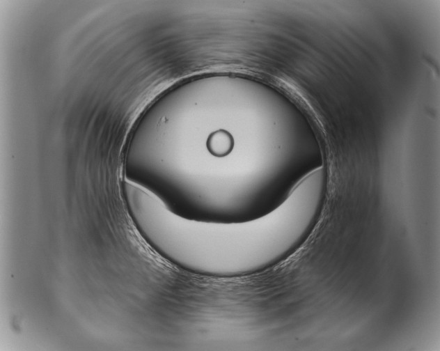 X0000100411284200806201751