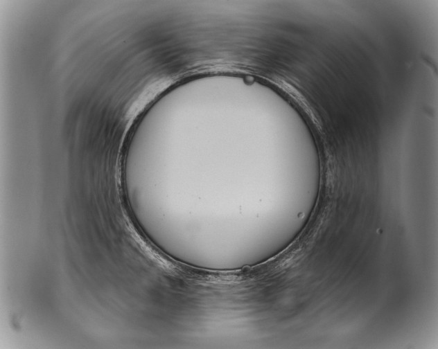 X0000100411285200806201751