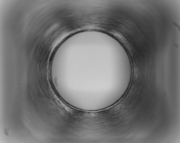 X0000100411286200806201751