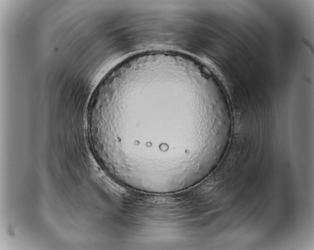 X0000100411287200806201750