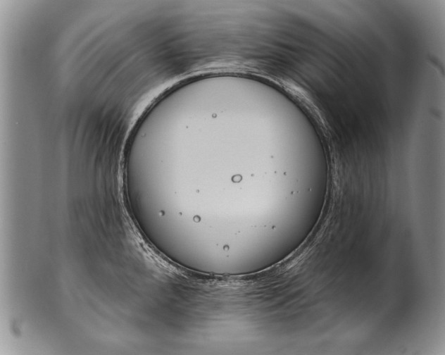 X0000100411288200806201750