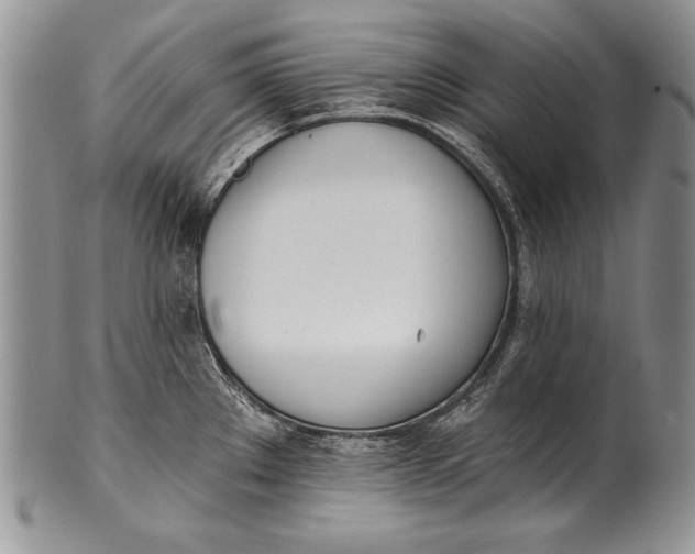 X0000100411289200806201750