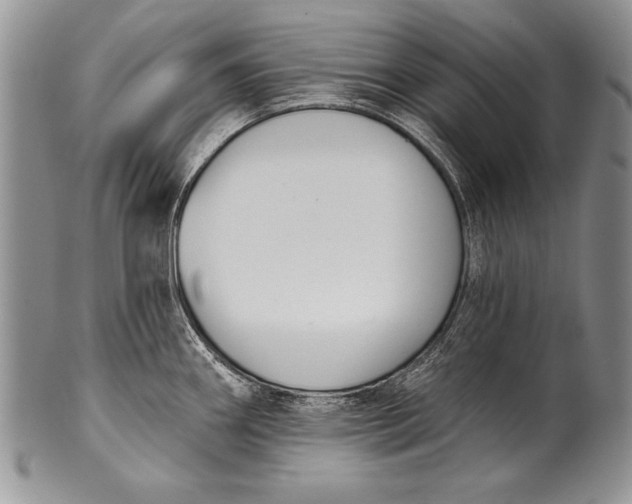 X0000100411290200806201750