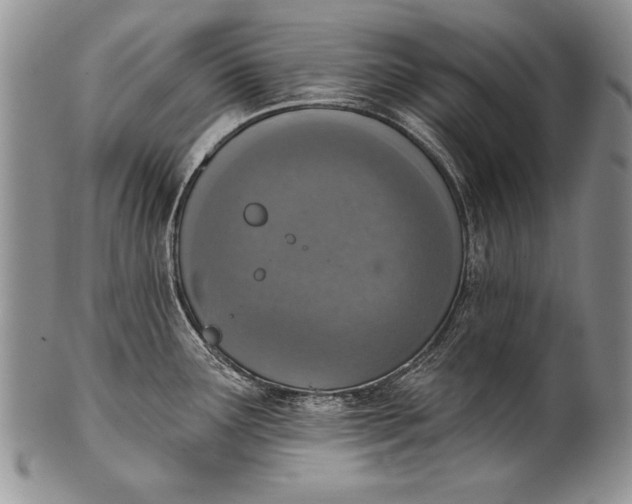 X0000100411291200806201750