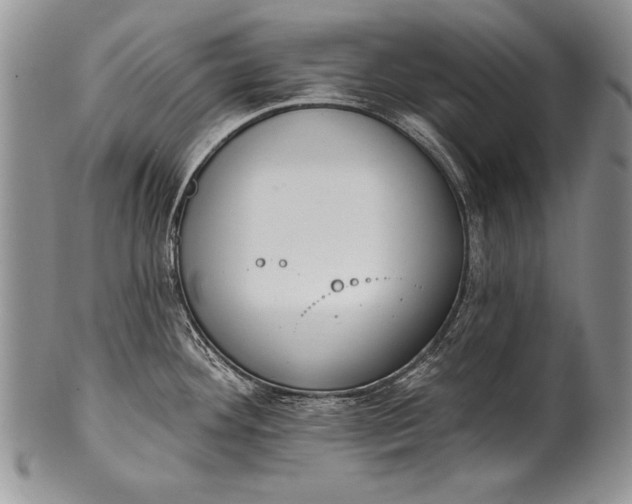 X0000100411292200806201750