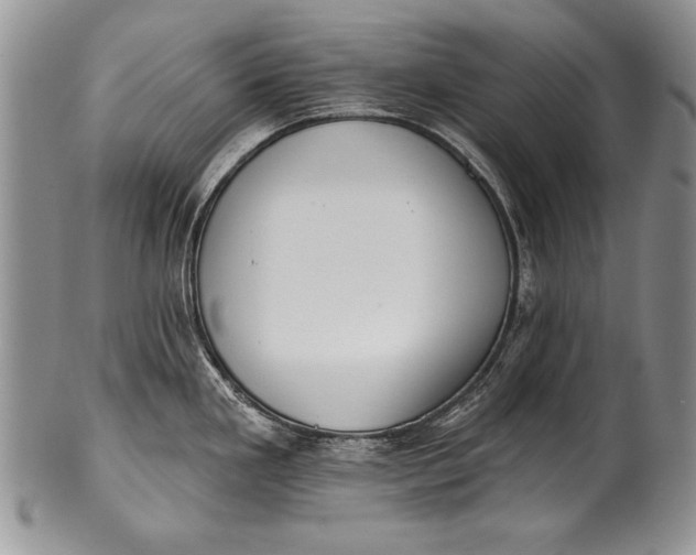 X0000100411293200806201750