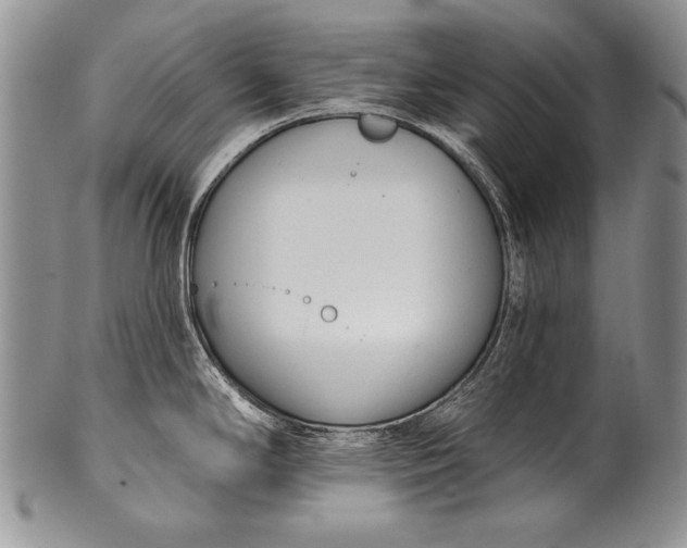 X0000100411294200806201750