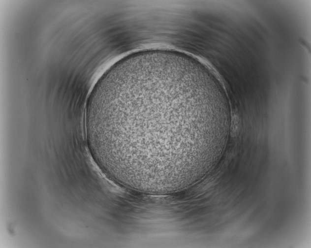 X0000100411295200806201750