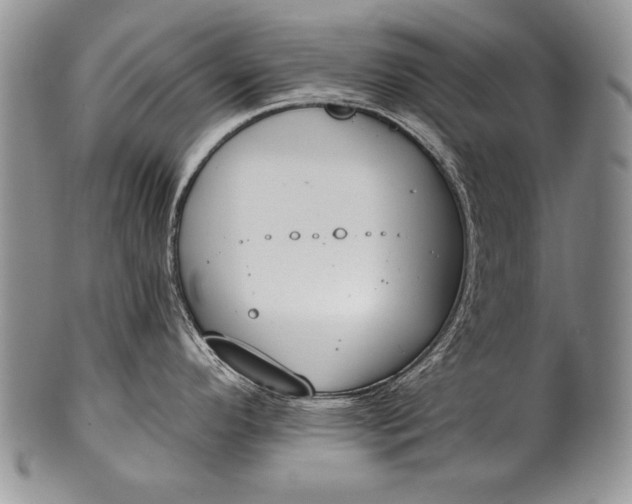 X0000100411296200806201750