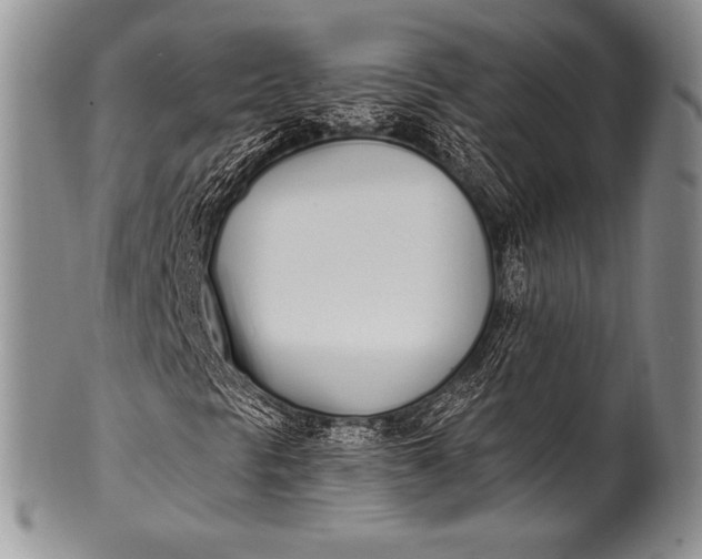 X0000100411297200806201750