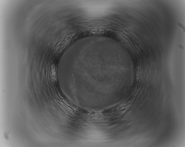 X0000100411298200806201750