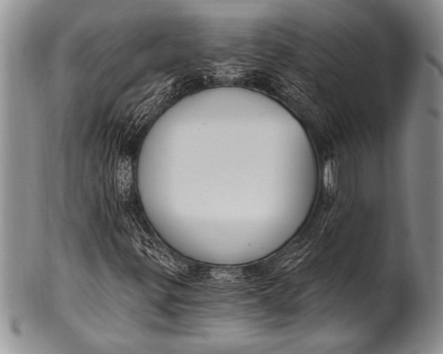 X0000100411299200806201750